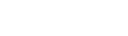 AIConnex